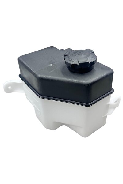 Aktan Oto Market Hyundai Accent Era Yedek Su Deposu 2006-2011 254311G000