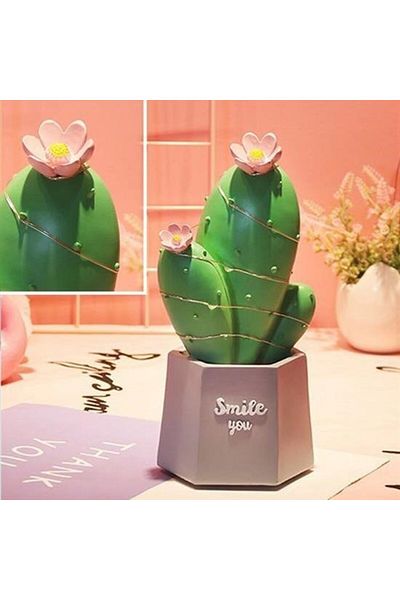 Woody Sofia ®   Led Lighted Cactus Figurine Home Decoration and Gift Led Lighting