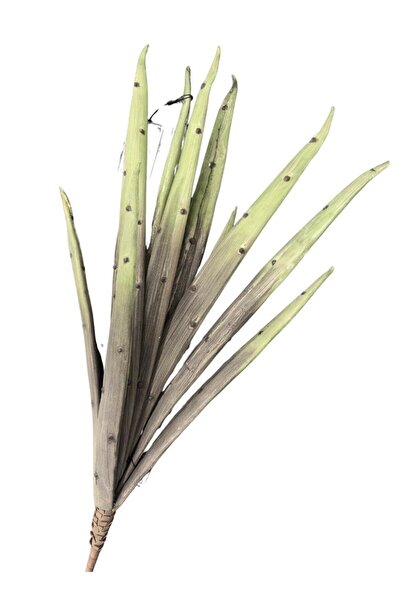 Lara Decor Yeşil Yapay Bambu Çiçek