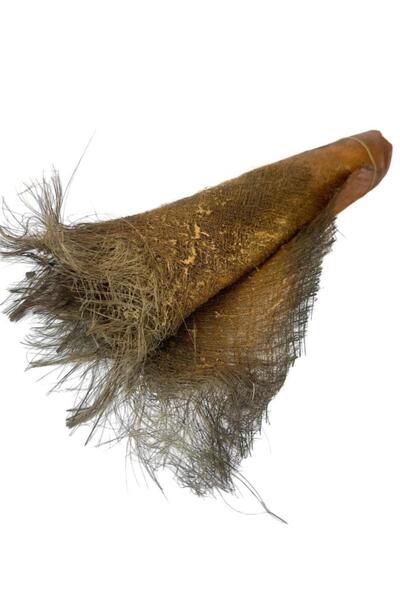 Nettenevime 5 ADET  Kurutulmuş Palmiye Ağacı Kabuğu Lifi Natural Ağaç Gövdesi Kokos