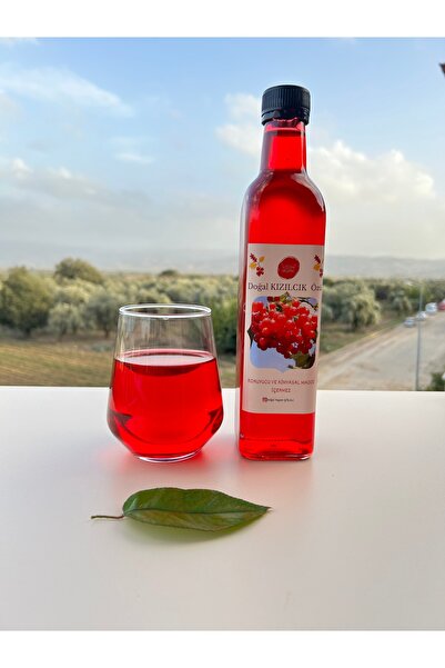 DOĞAL YAŞAM ŞİFA EVİ Şekersiz Doğal Kızılcık Özü - 750 Gr