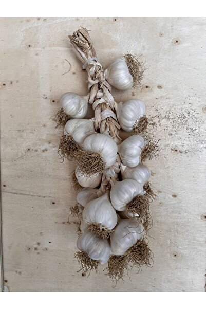 MMA Kastamonu Taşköprü Sarımsak Ata Tohumu Duble Boy 1kg