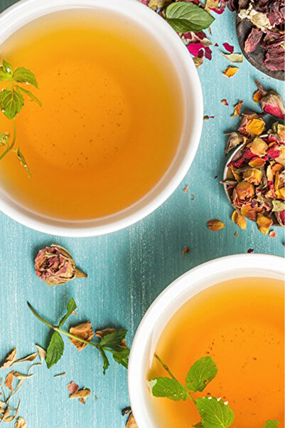 OrdoVeni % 100 Doğal Tarhun 35 gr - Lezzet , Sağlık Ve Ferahlık Için