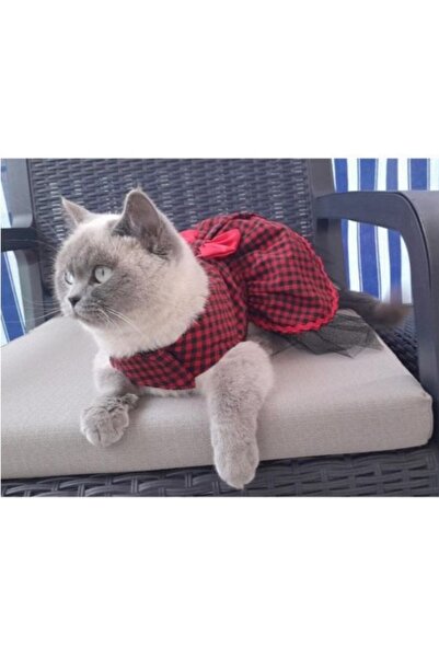 Gobo Kırmızı Siyah Kareli Kırmızı Papyonlu Dişi Kedi Köpek Kıyafeti Elbisesi ...