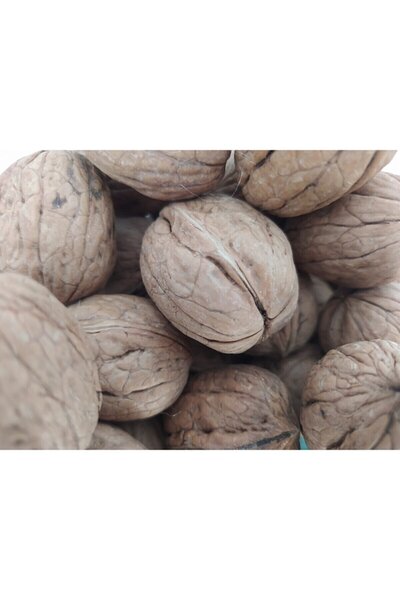 BENGİ TİCARET Ceviz 12221 Ince Kabuk Kolay Kırılır Chandler Kendi Bahçemizden Doğal Üretim 3kg