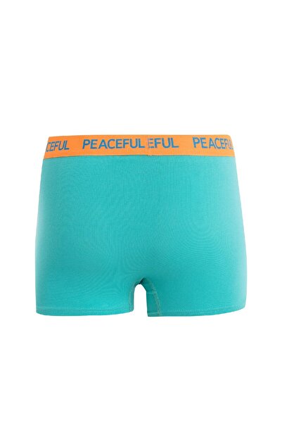 DeFacto Regular Fit 3-Piece Boxer B7774Ax24Au