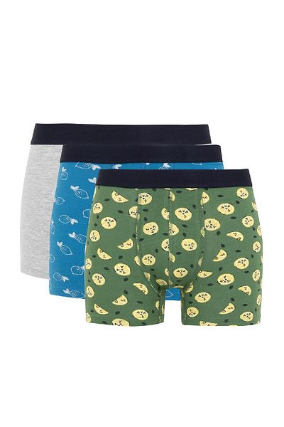 DeFacto Regular Fit 3 Pack Boxers Y3179az23au