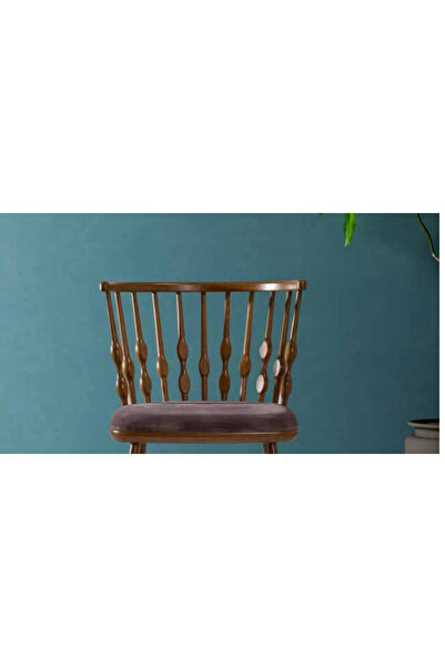 BENGİ TİCARET Sandalye 198766 Zus2181 Damla Sırtlık Model Kayın Ayak Parlak C...