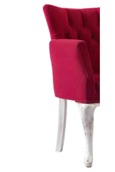 BENGİ TİCARET Sandalye 198761 Zus2263 Berjer Kapiton Avangart Kayın Retro Ayak Baby Face Kumaş