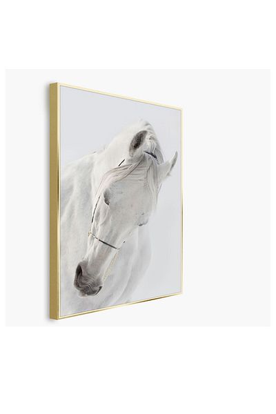 Homelux Pânză 50x70 Cm, Cal Ii
