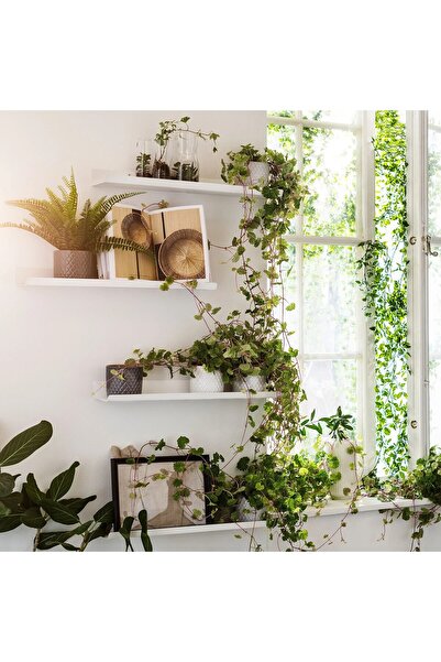 IKEA Fotoğraf Çerçevesi Rafı Uzunluk 60 Cm Ikea Duvar Rafı Metal Çerçeve Rafı Beyaz Çelik Raf
