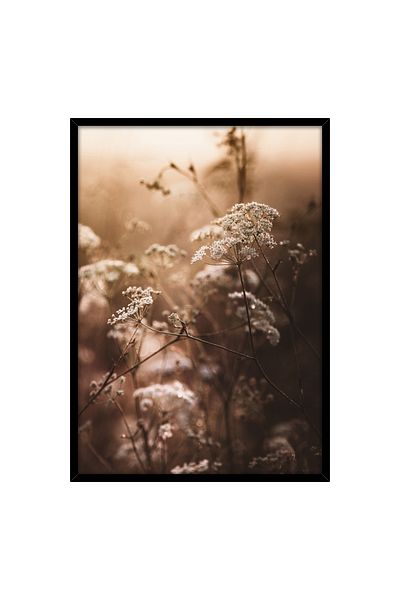 Homelux Panza 50x70 Cm, Wild Nature Ii