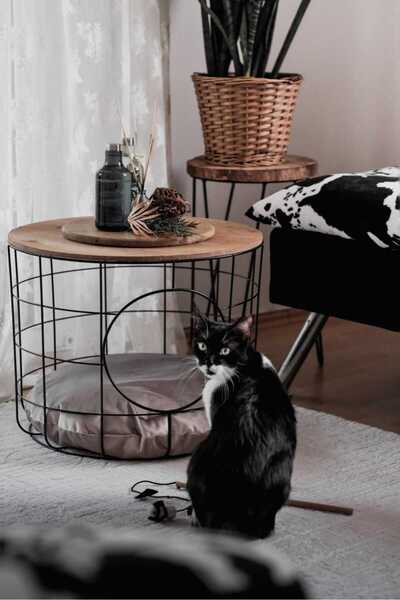 Dekoratif 2 Lİ KEDİ YUVALI ORTA SEHPA VE YAN SEHPA