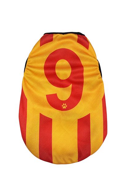 PuluPulu Cat and Dog Suit Fan Jersey
