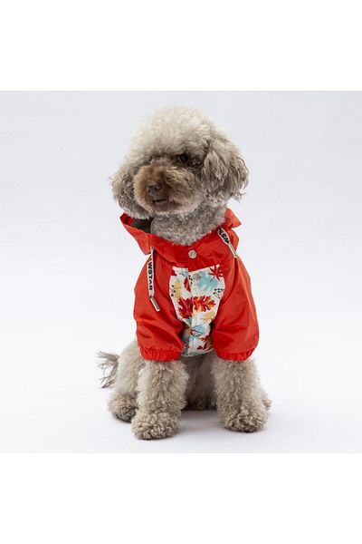 Pawstar Ottawa Dog Coat Dog Raincoat Dog Outfit Dog Dress