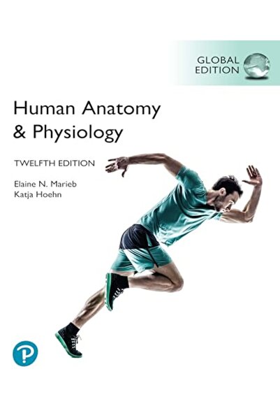 Pearson Education Human Anatomy & Physiology