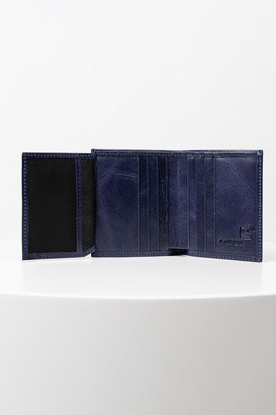 BAYDERİ Lisande Genuine Leather Polite Men's Wallet