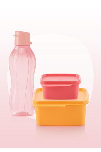 Tupperware Pink Set of 3 with Me at Every Moment