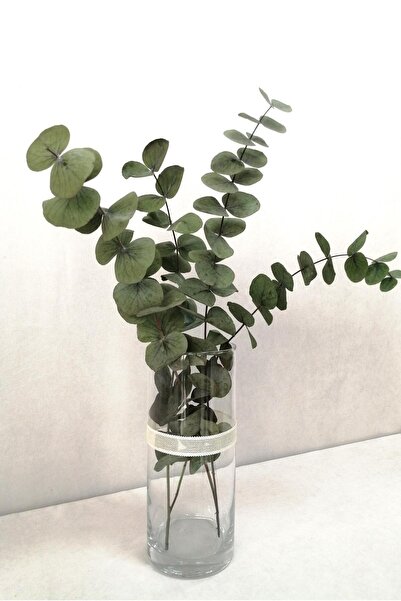 MorDekor Şoklanmis Büyük Yeşil Okaliptus Demeti