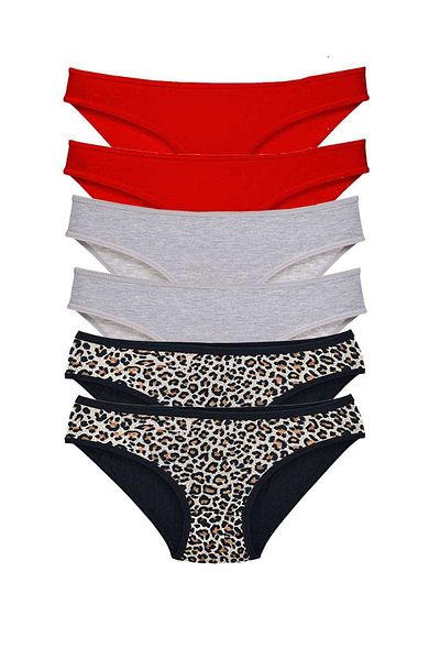 Easy Tedarik 6 Pieces Lycra Women's Slip Panties Leopard Red Gray