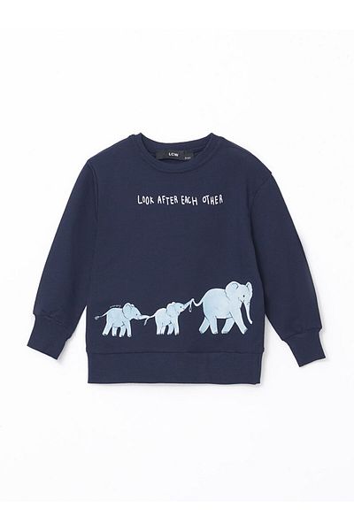 LC Waikiki Crew Neck Printed Baby Boy Tracksuit Set
