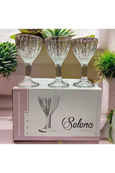 DAFE HOME Selena 6-Piece Standing Coffee Water Glass