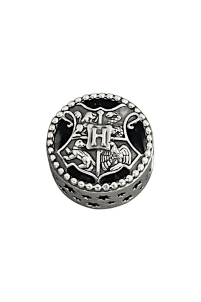 Dumledo Harry Potter Hogwarts Binaları Charm | 925 Ayar Gümüş