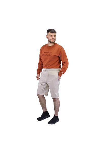 Giordano Men's Embroidery Shorts