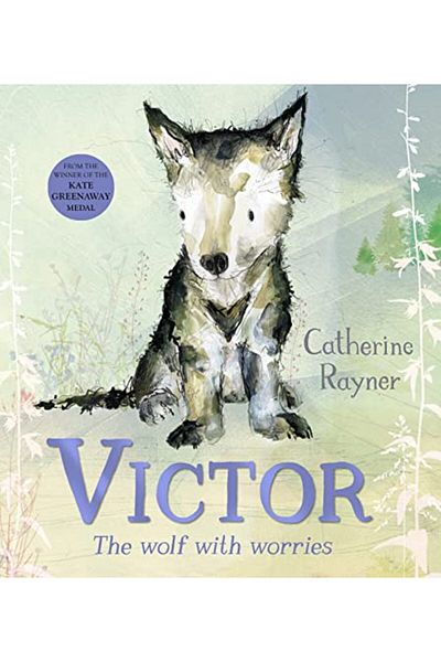 Pan Macmillan Victor The Wolf With Worries