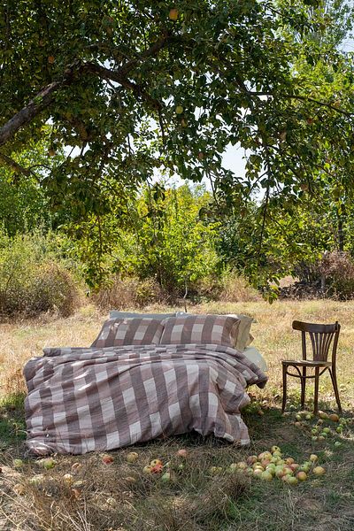 Barine Gingham Gauze Σκούρο Καφέ 100% Βαμβακερό Παπλωματοθήκη Διπλής Παπλωματοθήκης 200x220