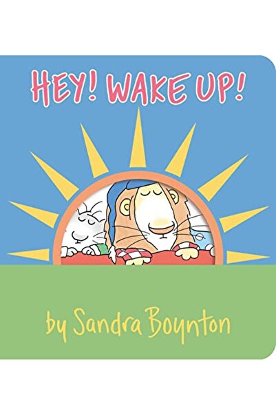 Simon Schuster Hey Wake Up