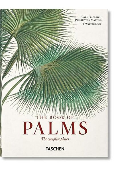 Taschen Martius The Book Of Palms 40Th Ed