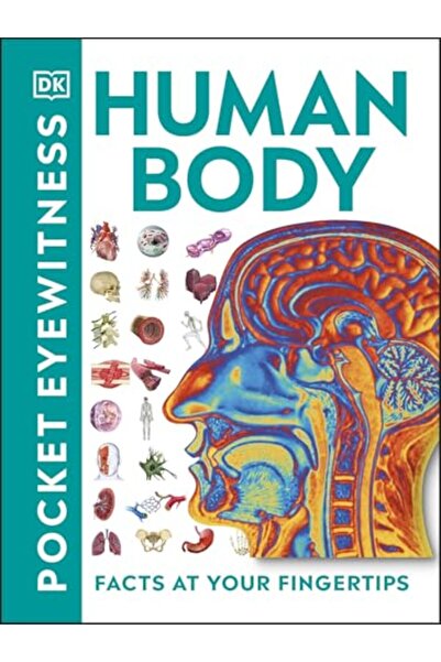 Dorling Kindersley Pocket Eyewitness Human Body Facts At Your Fingertips