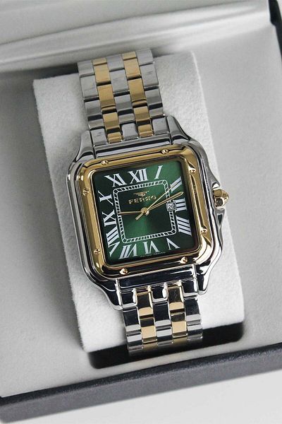 FERRO F21622D6 Men's Watch with Steel Band