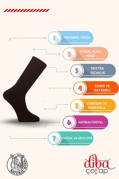 Diba Set of 6 Men's Wool Socks