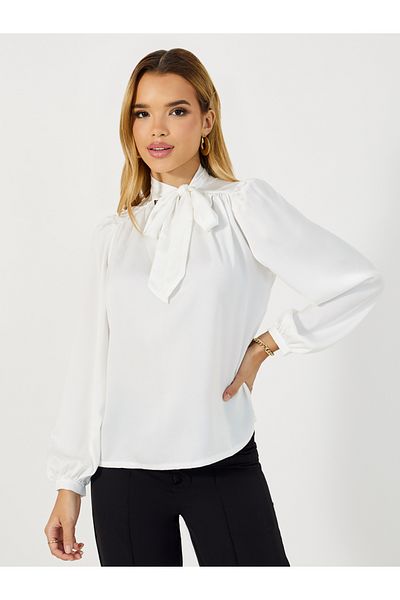 Styli Solid Tie-Up Neck Balloon Sleeves Blouse