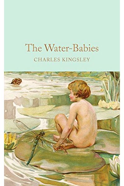 Macmillan Distribution The Waterbabies A Fairy Tale For A Landbaby