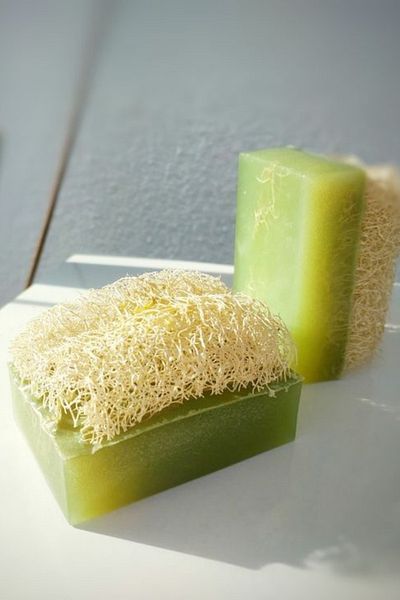 ixirciyusuf Pumpkin Fiber Alovera Soap 100Gr