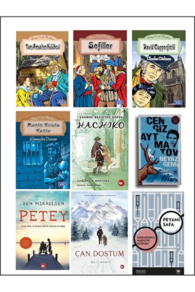 Parıltı Yayınları -HEDİYELİ- PETEY,HACHİKO,BEYAZ GEMİ,CAN DOSTUM 9 KİTAP SET