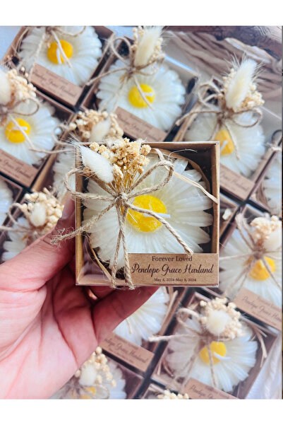 Larmina Decoration Κερί Μαργαρίτα 10 Τεμάχια