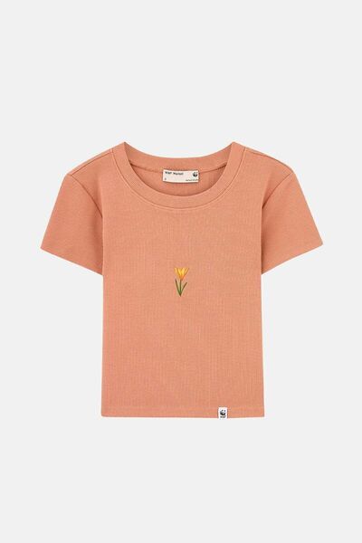 WWF Market Istanbul Çiğdemi Rib Crop T-Shirt - Salmon Color