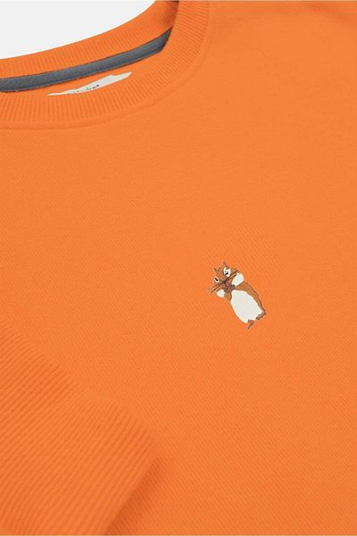 WWF Market Πορτοκαλί Baby Squirrel Super Soft Oversize φούτερ