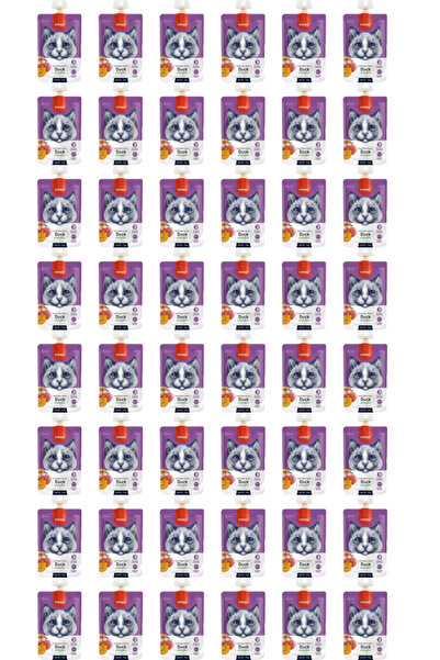 Wanpy Taze Ördekli ve Bal Kabaklı Kedi Et Ezmesi 90gr - 48 Adet