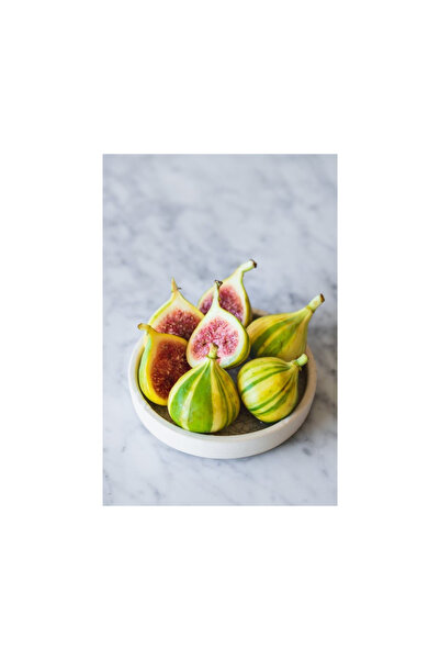 doğaşık Sarı-Yeşil Çizgili İncir Ağacı Fidanı 1-2 Yaş Arası Tüplü Doğaşık