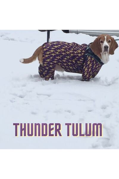 Alphadog Thunder Dog Jumpsuit