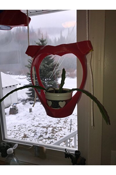 BYR Byr3D Hanging Heart Flower Pot T3247597 Is Just a Plastic Apparatus