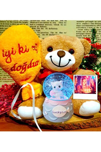 Çelik Kişiye Özel Sevimli Kedi Kar Küresi & İyi Ki Doğdun Peluş Ayıcık