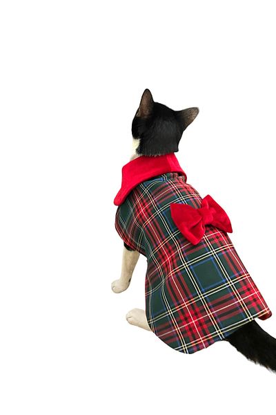zühre balaban Cat Dog Costume Outfit