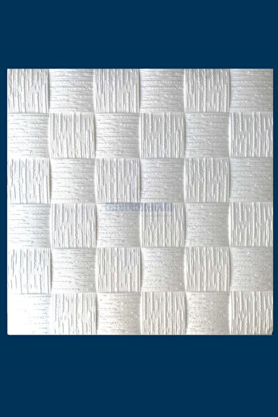 GÜLOĞLU STROPİYER 50x50 Stropiyer Tavan Kaplama Gkpç Hasır (4 ADET)