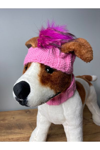 zeinapp Stylish Design Dog Hat Beanie with Pompom